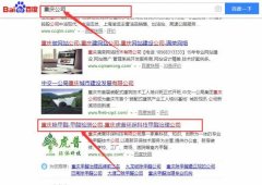 重慶虎普環(huán)?？萍加邢薰竞捅竟竞灱sSEO推廣合同