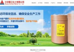 沙洋秦*化工有限公司建網(wǎng)站新一代自助建站、智能建站系統(tǒng)