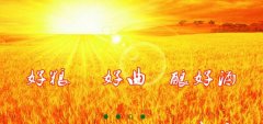 山東省梁山縣徐*生物工程有限公司網(wǎng)站建設(shè)新一代自助建站、智能建站系統(tǒng)