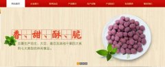 紅太*食品(榮成)有限公司制作網(wǎng)站新一代自助建站、智能建站系統(tǒng)