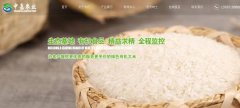豐城市中*農業(yè)發(fā)展有限公司網(wǎng)站建設新一代自助建站、智能建站系統(tǒng)